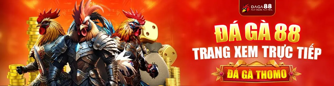 Đấu trường chọi gà trực tuyến ZM88